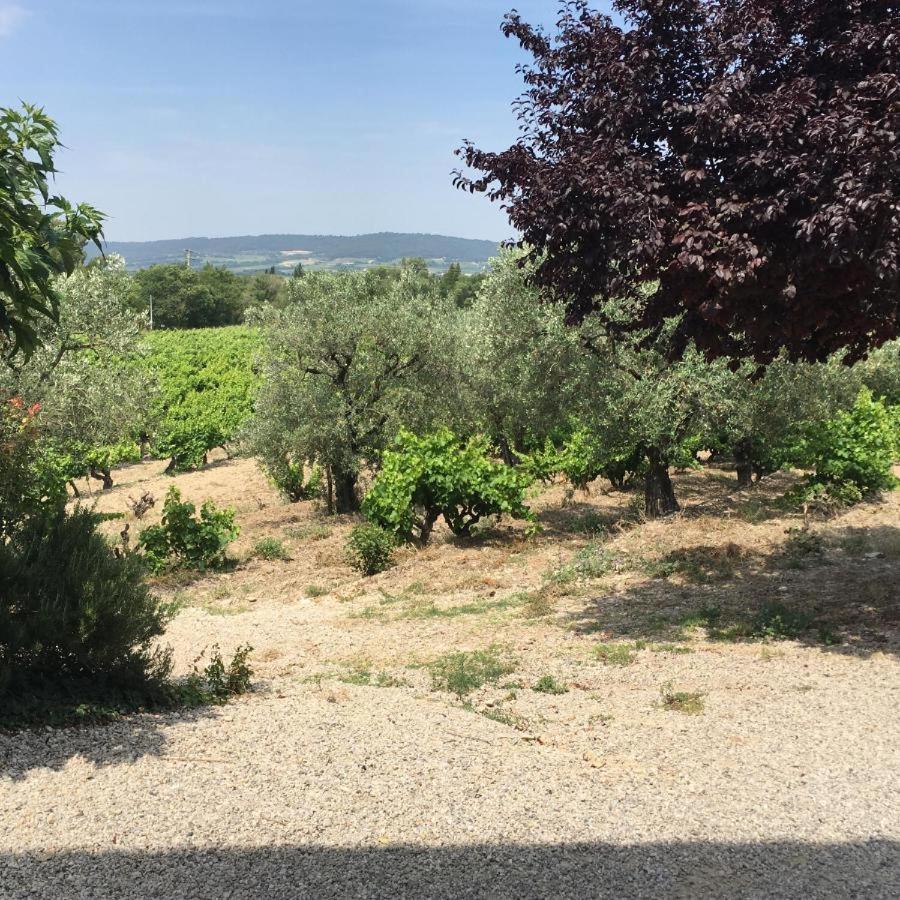 Mas Du Prescondu Βίλα Mirabel-aux-Baronnies Εξωτερικό φωτογραφία